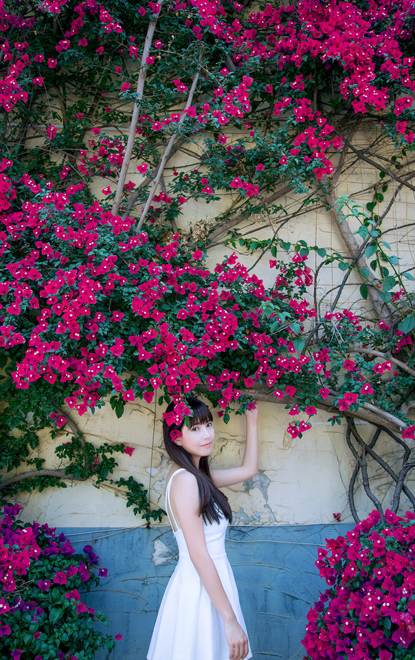 安静如女神般矜持 花海人像写真摄影