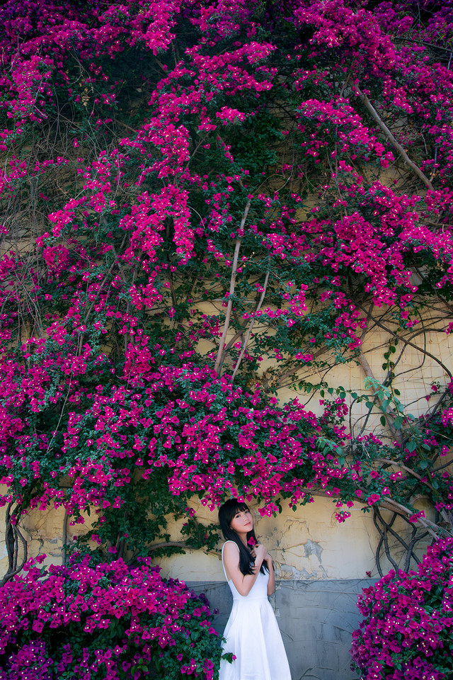 安静如女神般矜持 花海人像写真摄影