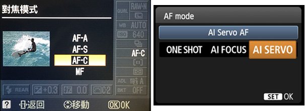 9个拍摄鸟类的入门摄影技巧