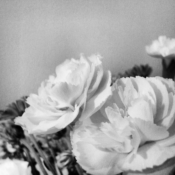 9个简单实用的手机摄影摄影技巧