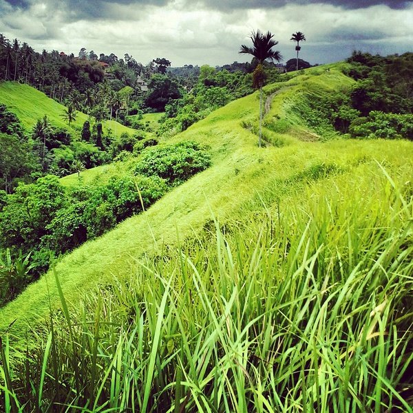 9个简单实用的手机摄影摄影技巧