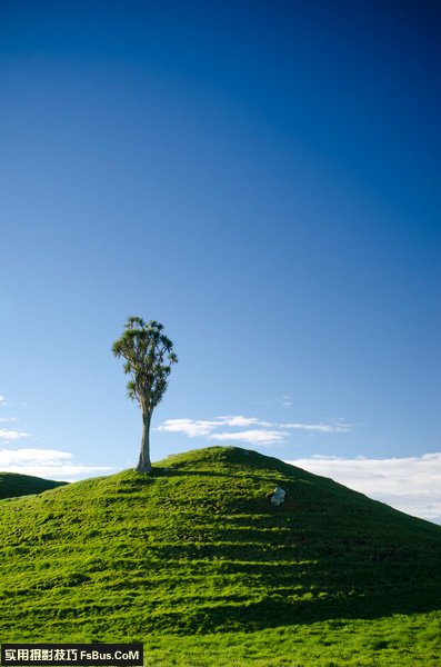 风景摄影直式构图小摄影技巧