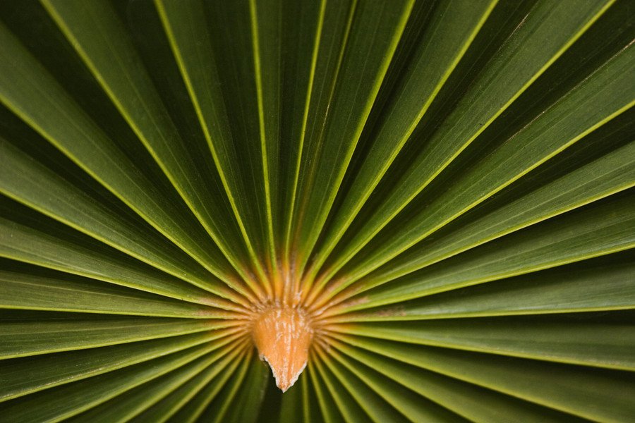 9个提升风景摄影的摄影技巧