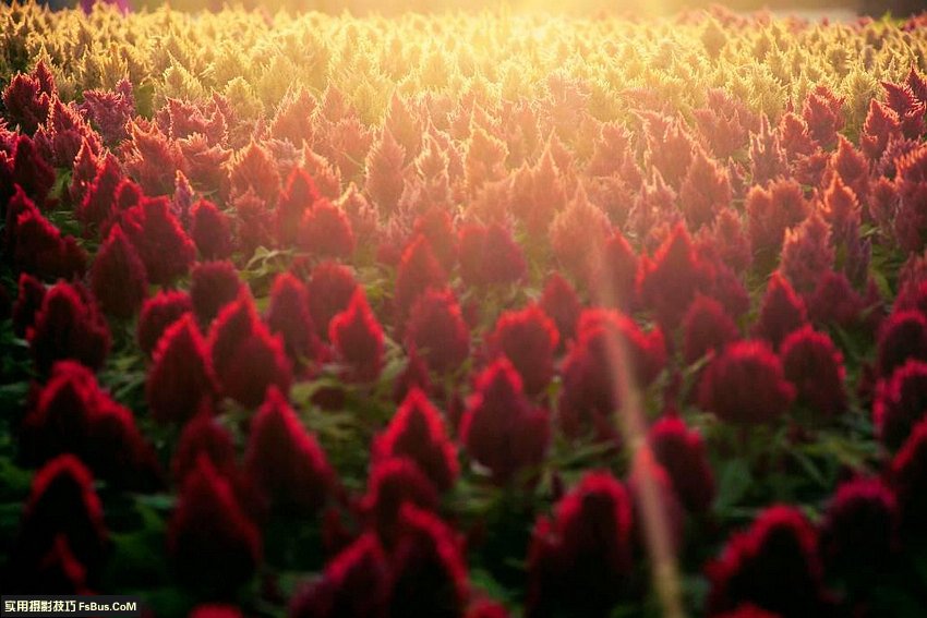 用光的艺术 不同天气场景的拍摄技巧_2_1 不同天气场景的拍摄摄影技巧