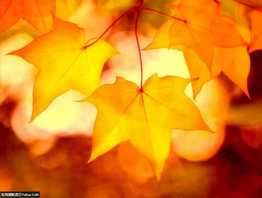 用光的艺术 不同天气场景的拍摄技巧_3_1 不同天气场景的拍摄摄影技巧