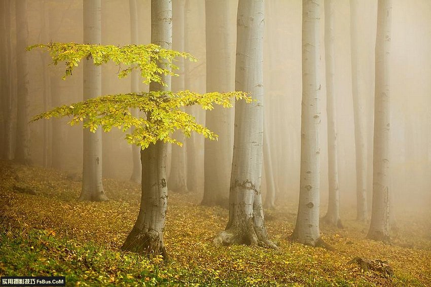 用光的艺术 不同天气场景的拍摄技巧_4_1 不同天气场景的拍摄摄影技巧