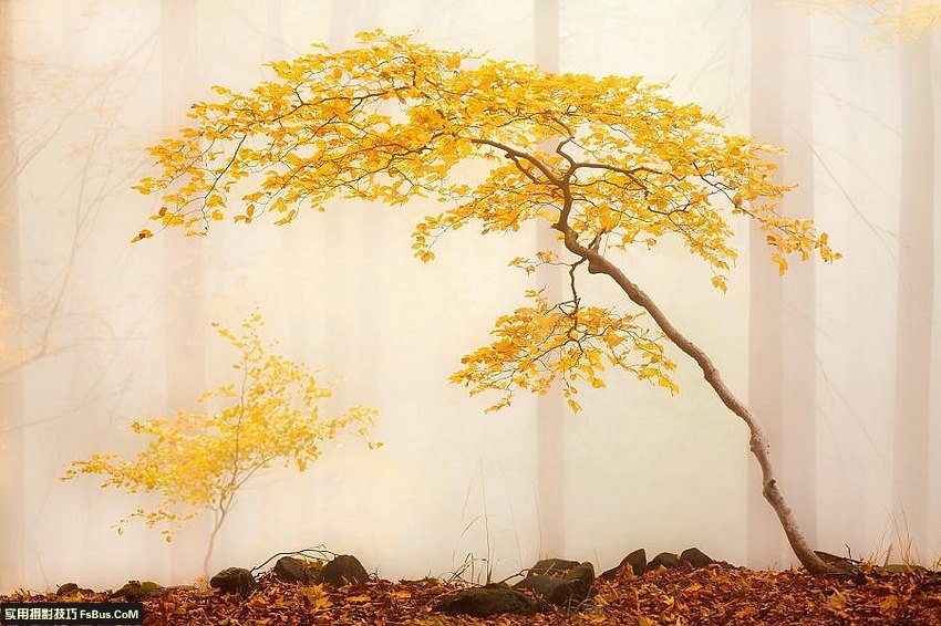 用光的艺术 不同天气场景的拍摄技巧_4_2 不同天气场景的拍摄摄影技巧