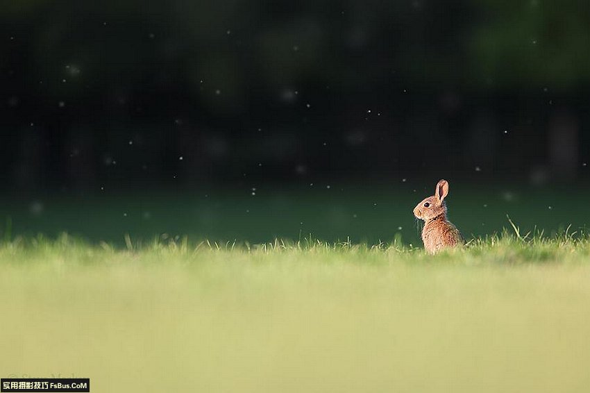 用光的艺术 不同天气场景的拍摄技巧_3_2 不同天气场景的拍摄摄影技巧