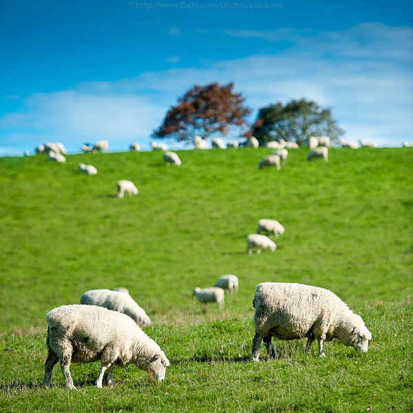 Coolbiere A风景摄影作品