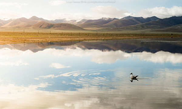 Coolbiere A风景摄影作品