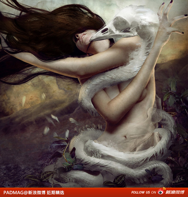 PADMAG@新浪微博 近期精选(120312) 新浪微博 近期精选(120312)