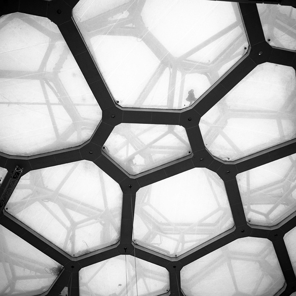 新浪微博 近期精选(020413)