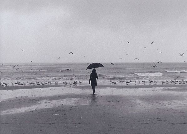 Rogier Houwen摄影作品