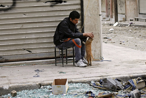 新浪微博 近期精选(102912)