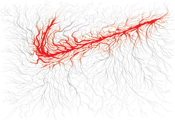 新浪微博 近期精选(092412)
