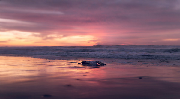 Sophie Ellis摄影作品