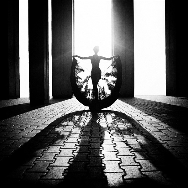 PADMAG@新浪微博 近期精选(102212) 新浪微博 近期精选(102212)