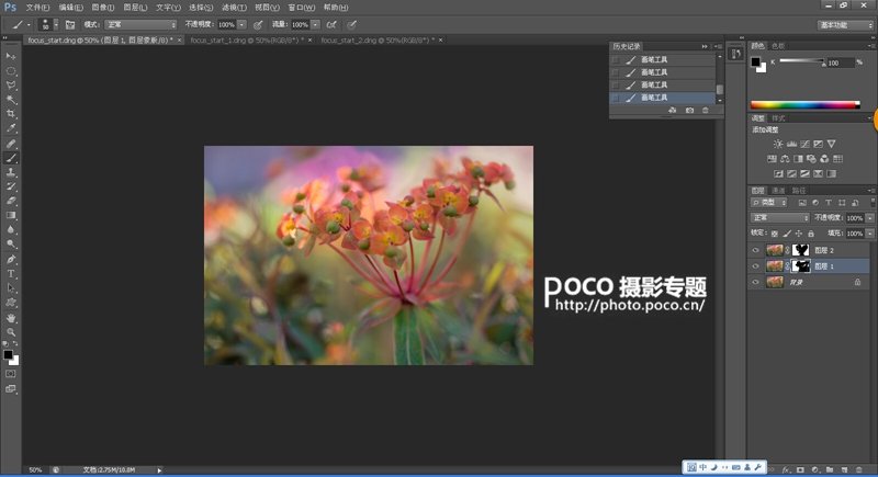 转移焦点拍微距花卉 混合图层制作创意照片_10_1 转移焦点拍微距花卉 混合图层制作创意照片