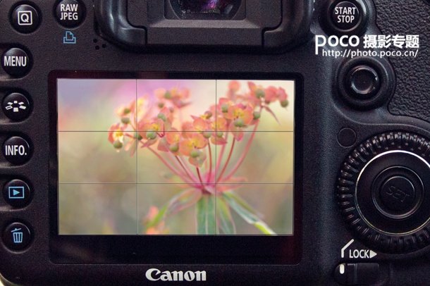 转移焦点拍微距花卉 混合图层制作创意照片_5_1 转移焦点拍微距花卉 混合图层制作创意照片