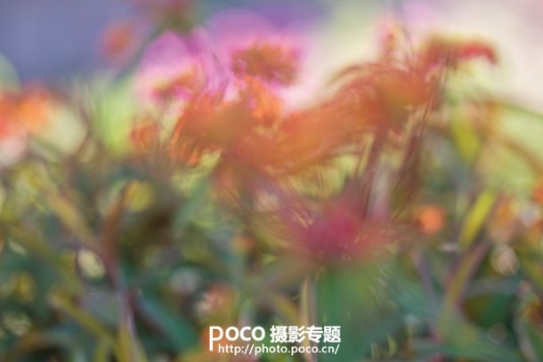 转移焦点拍微距花卉 混合图层制作创意照片_7_1 转移焦点拍微距花卉 混合图层制作创意照片