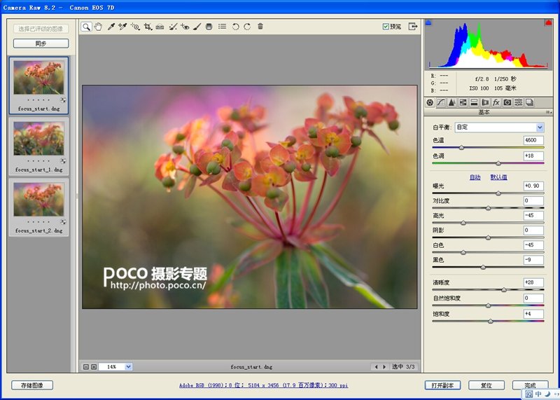 转移焦点拍微距花卉 混合图层制作创意照片_8_1 转移焦点拍微距花卉 混合图层制作创意照片