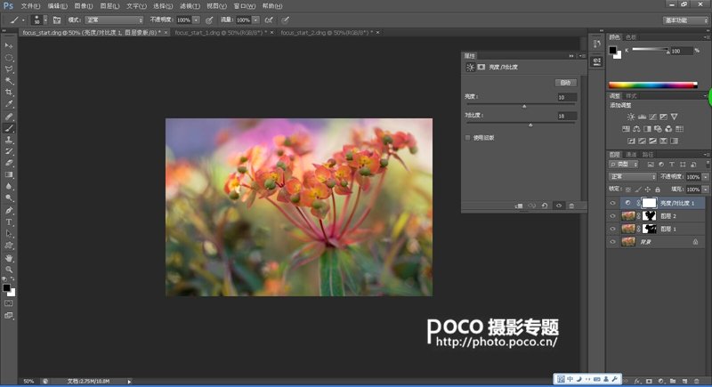 转移焦点拍微距花卉 混合图层制作创意照片_11_1 转移焦点拍微距花卉 混合图层制作创意照片