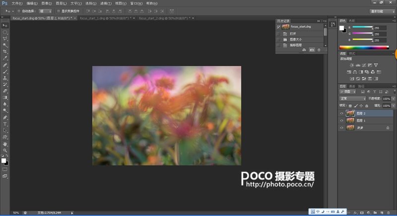 转移焦点拍微距花卉 混合图层制作创意照片_9_1 转移焦点拍微距花卉 混合图层制作创意照片