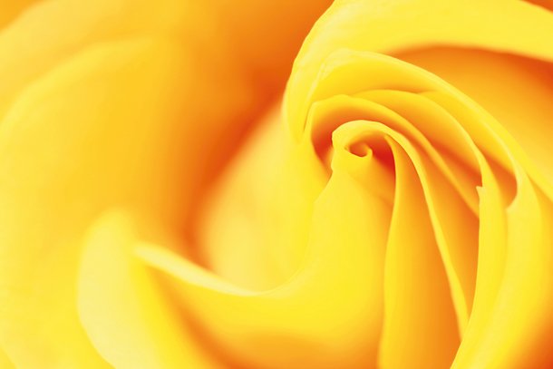 6招经典构图法,摄影师们都应该知道_5_1 摄影师常用6招经典构图法