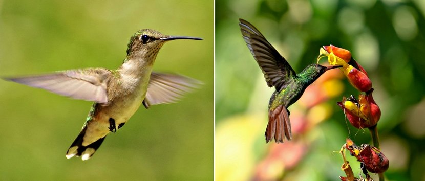 别害怕!ISO该推高时就推高_2_1 别害怕!ISO该推高时就推高