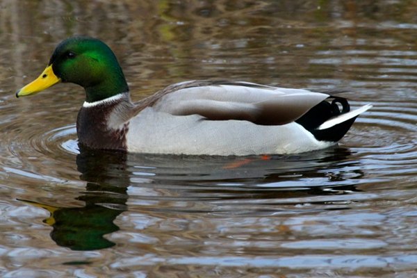别害怕!ISO该推高时就推高_4_1 别害怕!ISO该推高时就推高