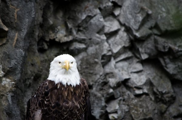 别害怕!ISO该推高时就推高_4_2 别害怕!ISO该推高时就推高