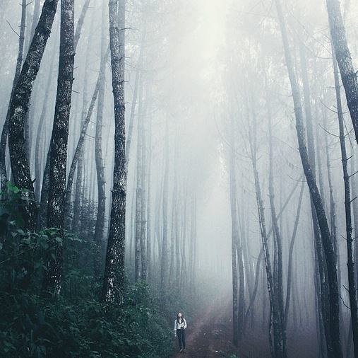 旅行时摆脱潘考墩障嗨平的50条极简建议_7_2 旅行时提升摄影水平的50条建议