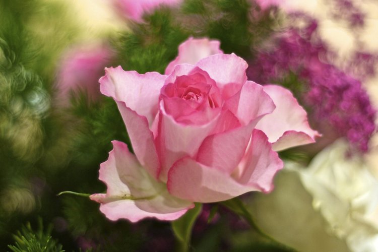 旅行时摆脱屌丝级照相水平的50条极简建议_12_1 旅行时提升摄影水平的50条建议