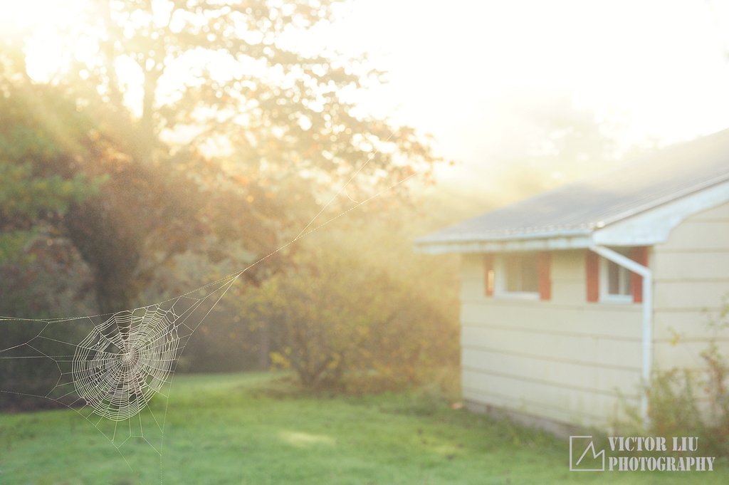 风光摄影宝典:雾天摄影的构图与对焦_4_2 雾天风光摄影的构图与对焦