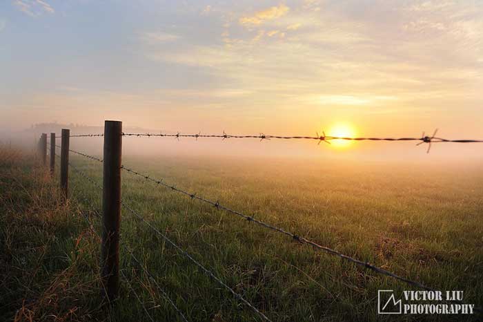 风光摄影宝典:雾天摄影的构图与对焦_6_2 雾天风光摄影的构图与对焦