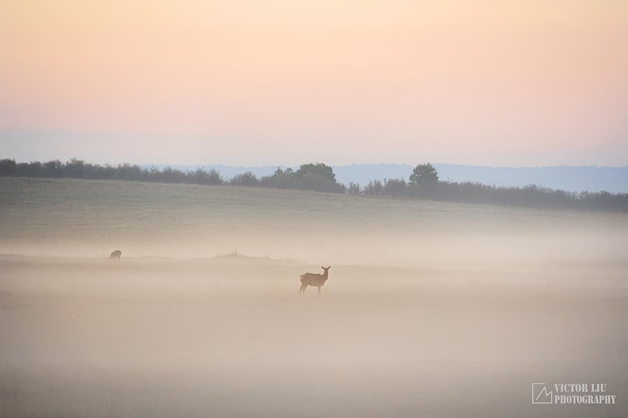 风光摄影宝典:雾天摄影的构图与对焦_2_1 雾天风光摄影的构图与对焦