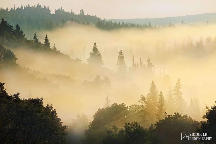 风光摄影宝典:雾天摄影的构图与对焦_3_1 雾天风光摄影的构图与对焦
