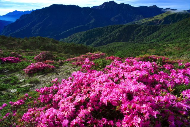 如何利用构图与光影让照片充满立体感