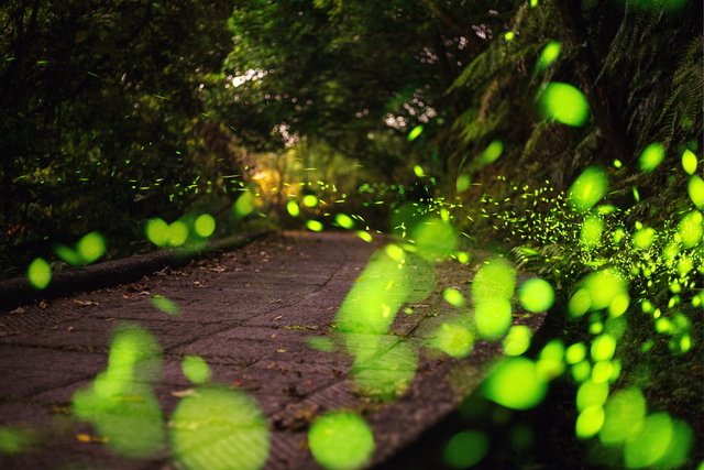 如何利用构图与光影让照片充满立体感