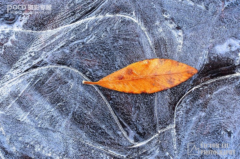 浅谈微型风景的用光_6_1 浅谈微型风景摄影的用光