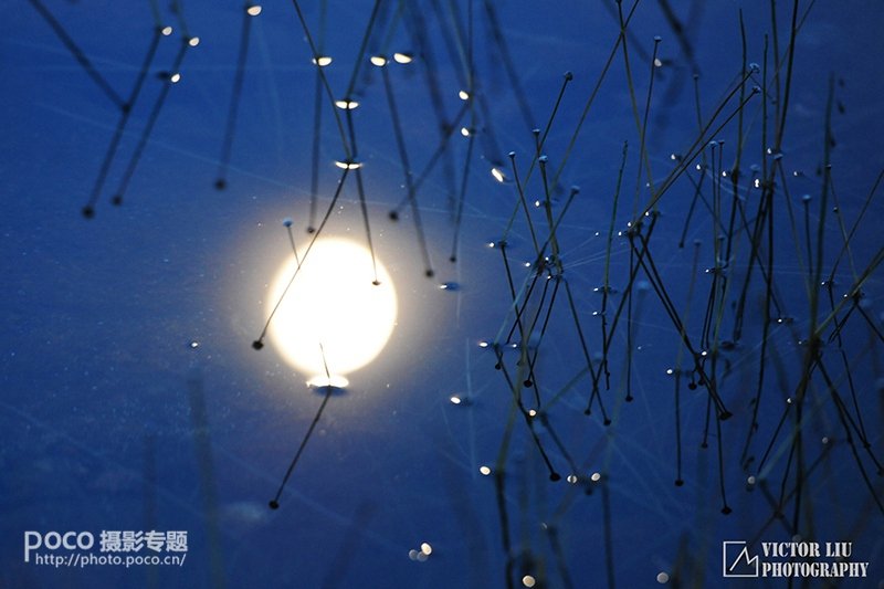 浅谈微型风景的用光_9_1 浅谈微型风景摄影的用光