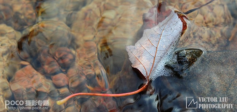 浅谈微型风景的用光_4_2 浅谈微型风景摄影的用光