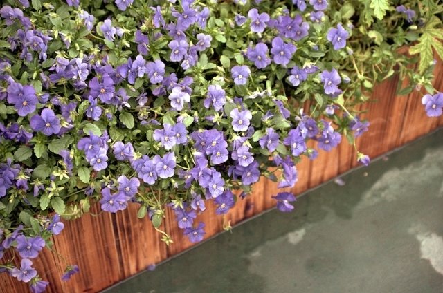 漫谈老相机:关于测光与对焦_2_1 老相机测光及对焦的相关知识