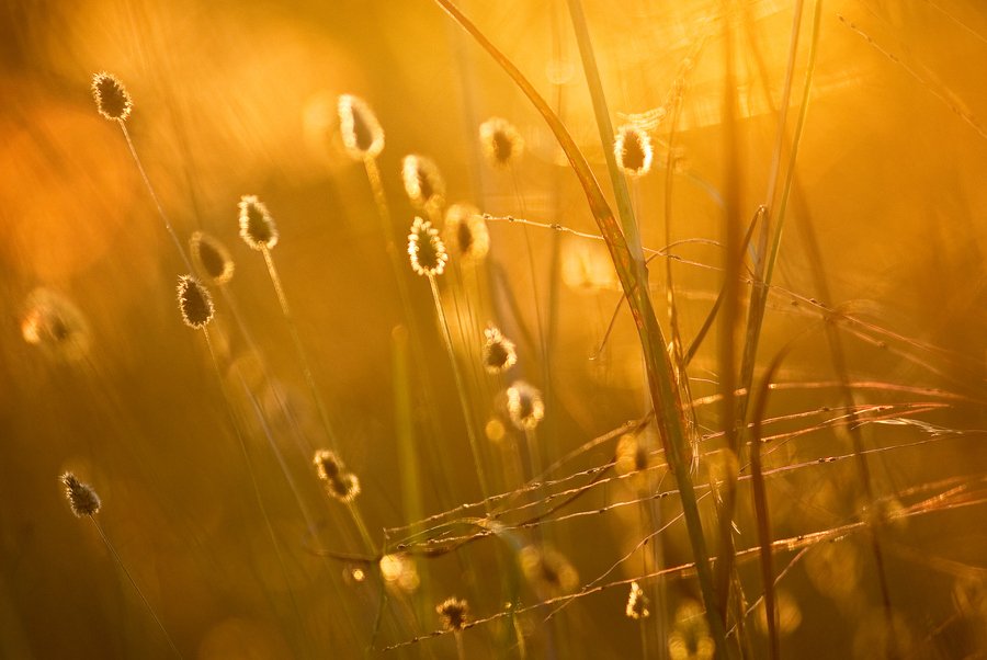 光是摄影的生命 善用太阳拍出漂亮相片_1_2 善用太阳光来拍出专业照片