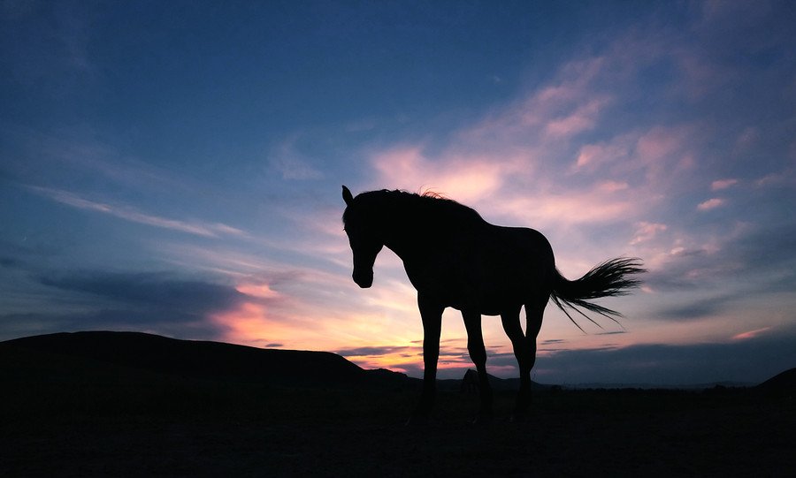 光是摄影的生命 善用太阳拍出漂亮相片_2_1 善用太阳光来拍出专业照片