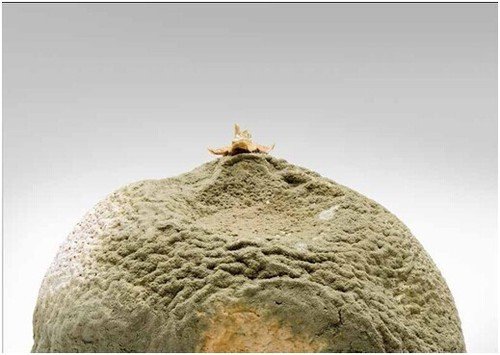 是什么成就了好的摄影 是什么成就了好的摄影作品