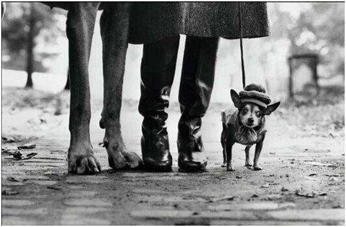 摄影师的洞察力 是什么成就了好的作品_2_1 是什么成就了好的摄影作品