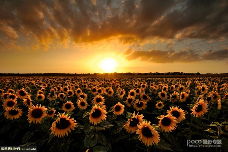 了解优秀作品的标准拍出好照片