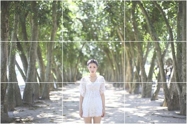 掌握色彩与构图间的平衡