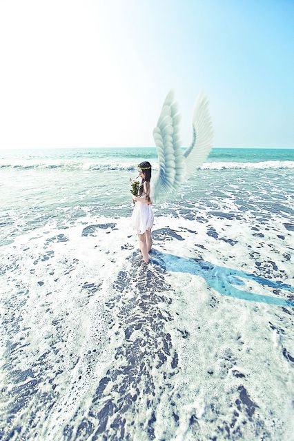 掌握色彩与构图间的平衡